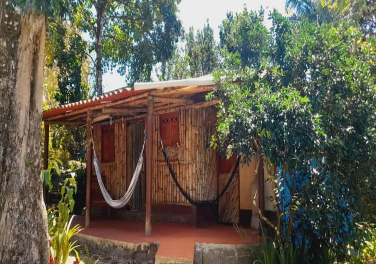Hostal Familiar El Angel Panama B&B Pajonal Arriba Ngoại thất bức ảnh