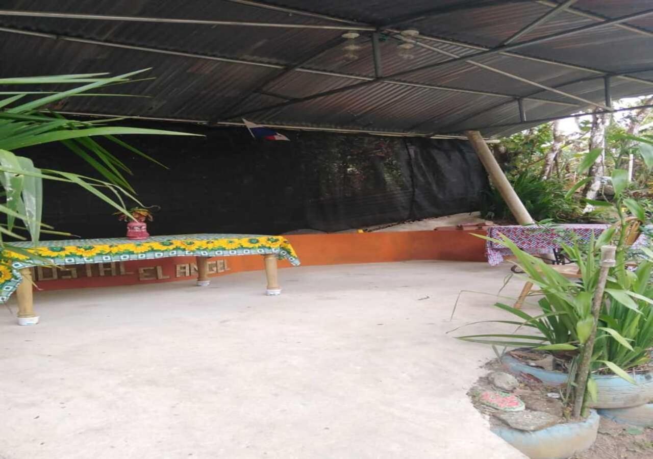 Hostal Familiar El Angel Panama B&B Pajonal Arriba Ngoại thất bức ảnh