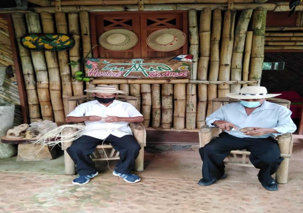 Hostal Familiar El Angel Panama B&B Pajonal Arriba Ngoại thất bức ảnh