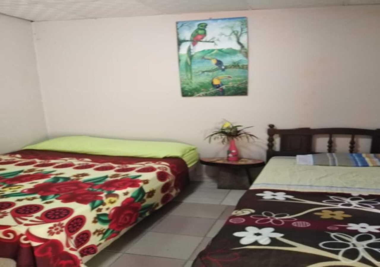 Hostal Familiar El Angel Panama B&B Pajonal Arriba Ngoại thất bức ảnh