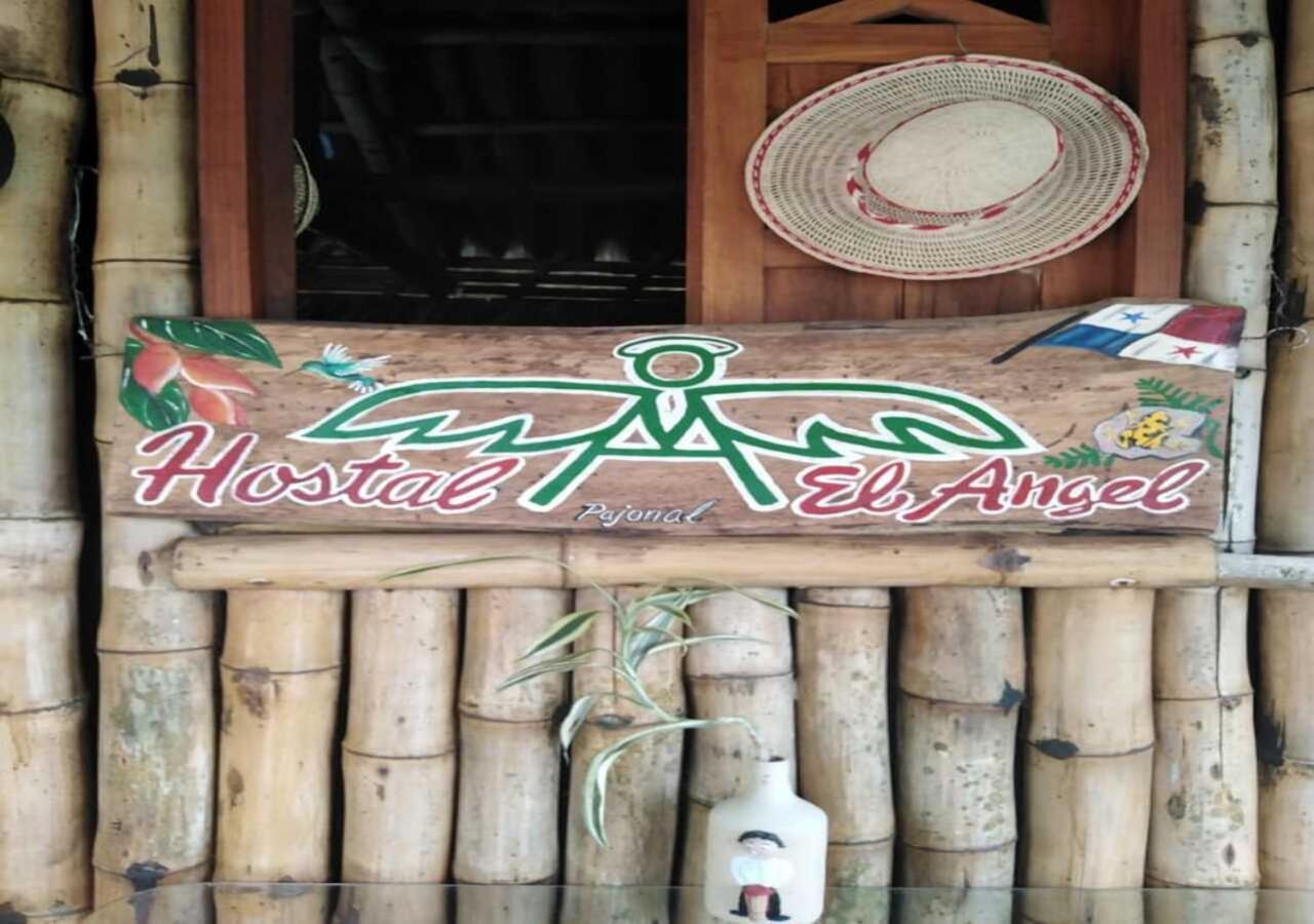 Hostal Familiar El Angel Panama B&B Pajonal Arriba Ngoại thất bức ảnh