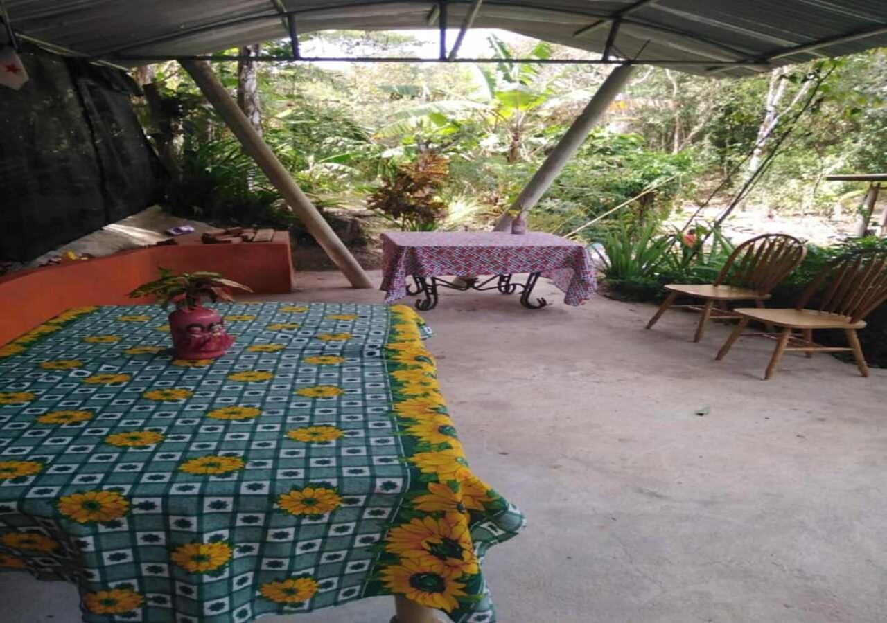Hostal Familiar El Angel Panama B&B Pajonal Arriba Ngoại thất bức ảnh