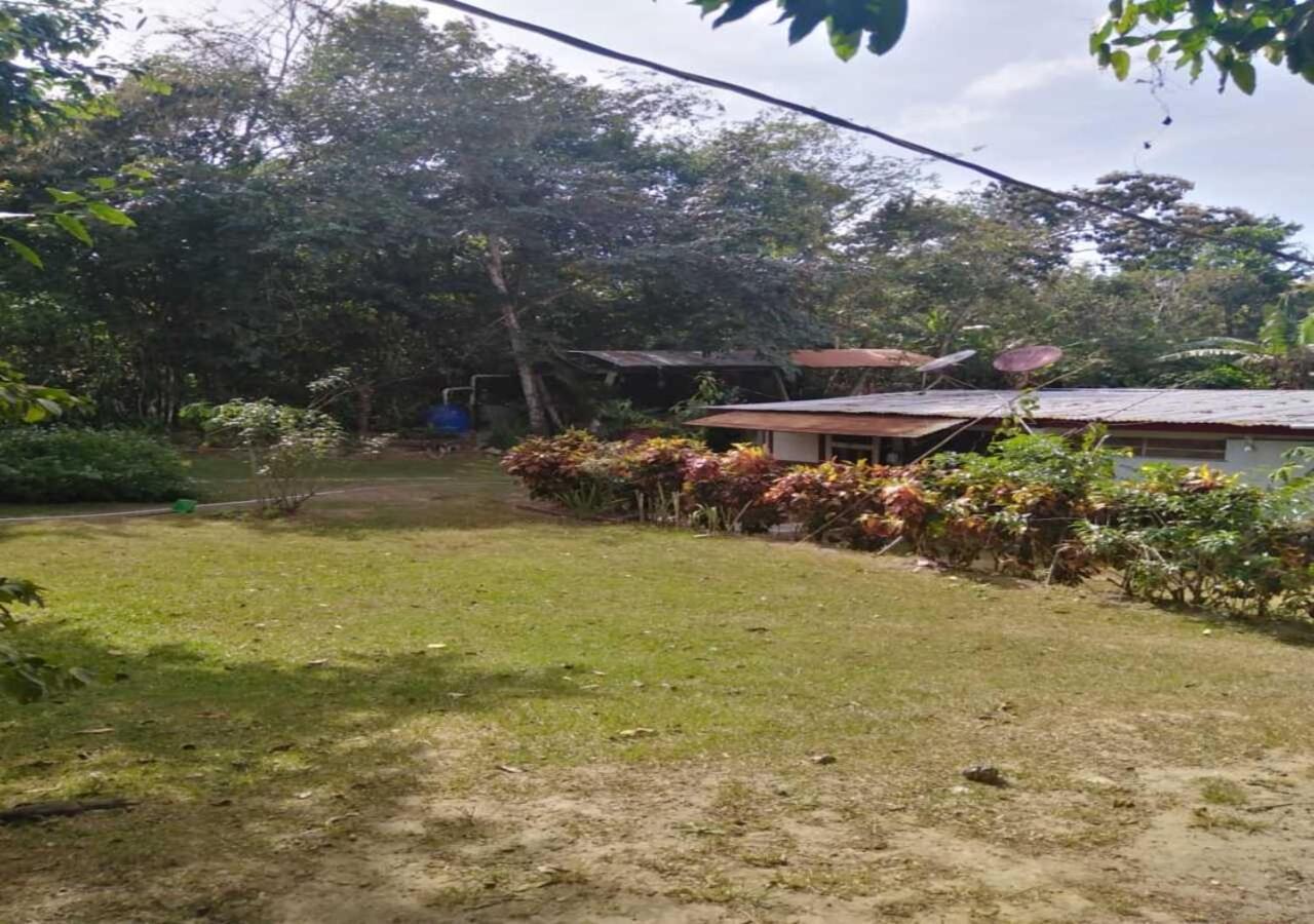 Hostal Familiar El Angel Panama B&B Pajonal Arriba Ngoại thất bức ảnh