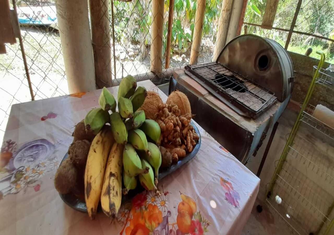 Hostal Familiar El Angel Panama B&B Pajonal Arriba Ngoại thất bức ảnh