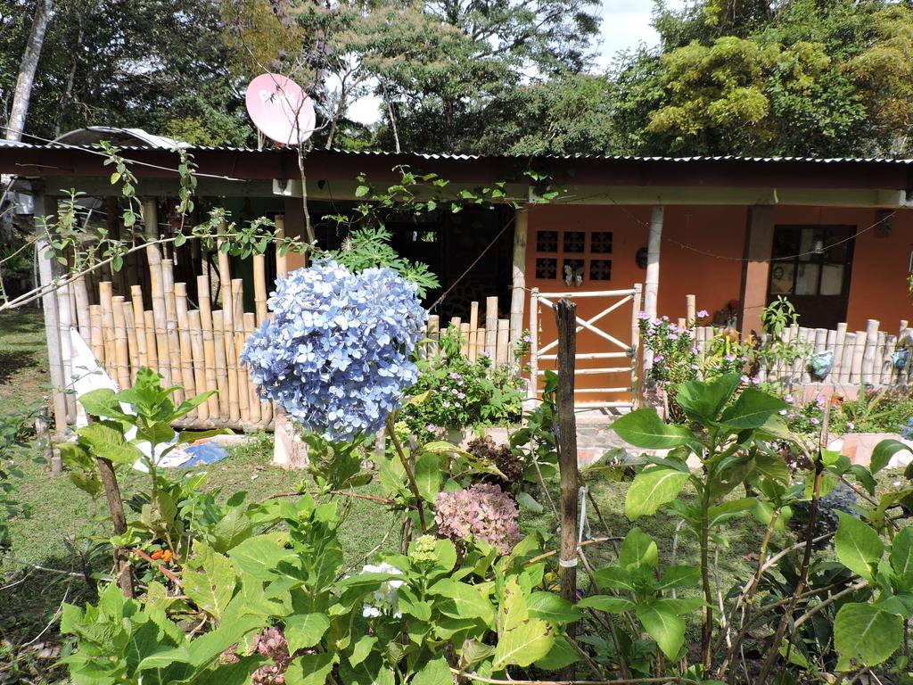 Hostal Familiar El Angel Panama B&B Pajonal Arriba Ngoại thất bức ảnh