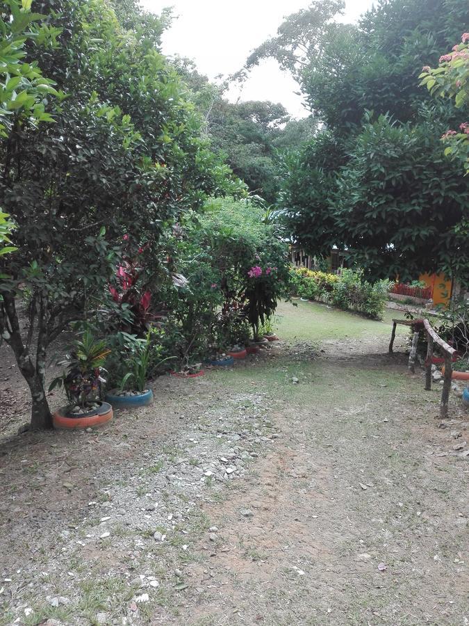 Hostal Familiar El Angel Panama B&B Pajonal Arriba Ngoại thất bức ảnh